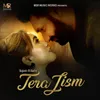 About Tera Jism Song